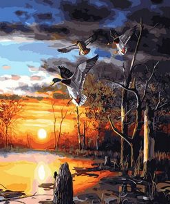 Evening Sunset Landscape Paint By Numbers