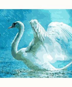 Swan in Rainy Scene Paint By Numbers