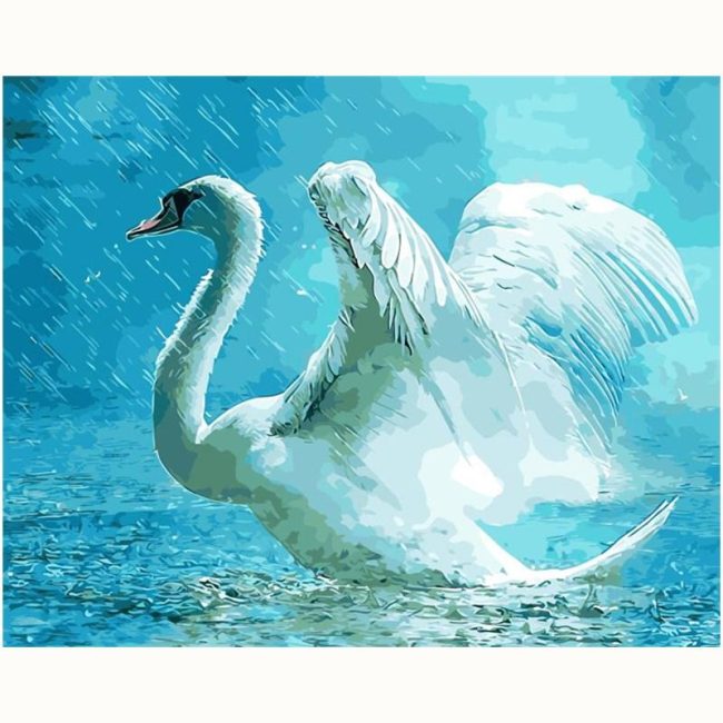 Swan in Rainy Scene Paint By Numbers