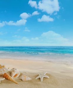 Seashells Beachside Art Paint By Numbers