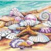 Seashell Beach Landscape Paint By Numbers