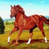 Secretariat Brown Horse Paint By Numbers
