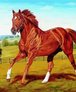 Secretariat Brown Horse Paint By Numbers