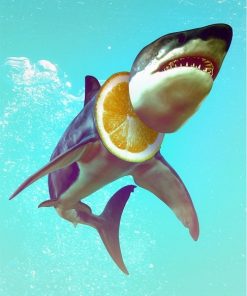 Shark Animal Painting Paint By Numbers
