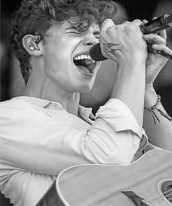 Shawn Mendes Monochrome Paint By Numbers