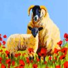 Sheep and Red Poppies Paint By Numbers