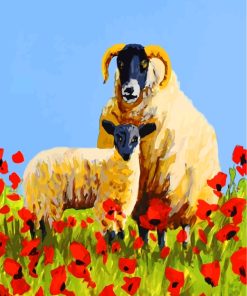 Sheep and Red Poppies Paint By Numbers