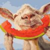 Sheep with Watermelon Paint By Numbers