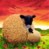 Sheep in Red Poppy Fields Paint By Numbers