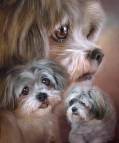 Shih Tzu Dog Picture Paint By Numbers