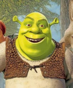 Shrek Friends Enchanted Paint By Numbers