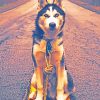Siberian Husky Painting Kit Paint By Numbers