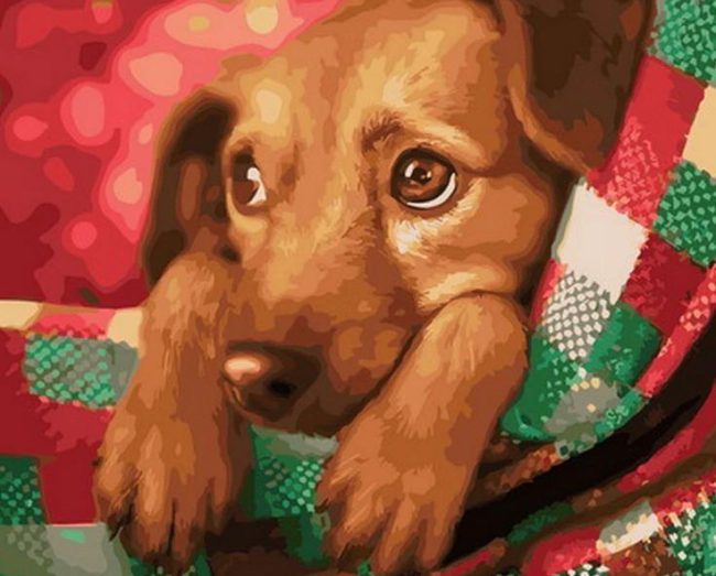 Christmas Dog Painting Paint By Numbers