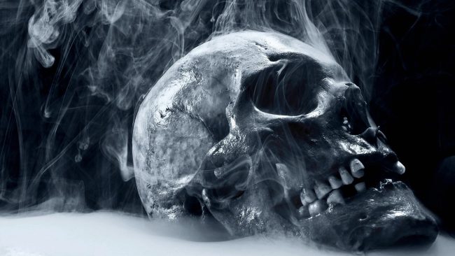 Smoky Skull Still Life Paint By Numbers