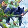 Adorable Black Bear Paint By Numbers