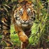 Tiger in the Wild Paint By Numbers