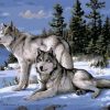 Gray Wolves Snow Scene Paint By Numbers