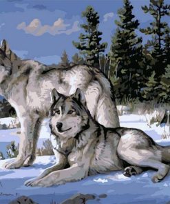 Gray Wolves Snow Scene Paint By Numbers