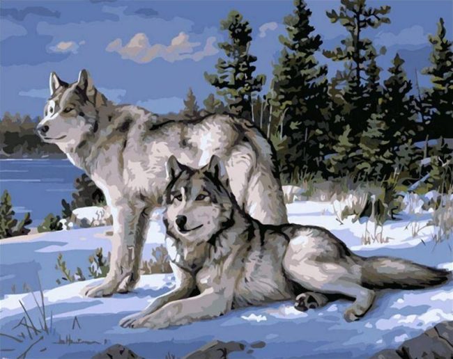 Gray Wolves Snow Scene Paint By Numbers