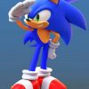 Sonic Cartoon Animation Paint By Numbers