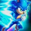 Sonic Cartoon Adventures Paint By Numbers