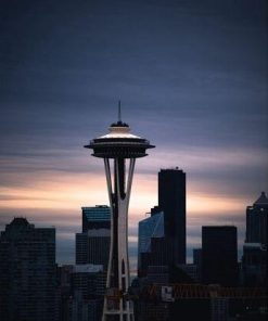 Space Needle Washington Skyline Paint By Numbers