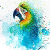 Colorful Parrot Splatter Paint By Numbers