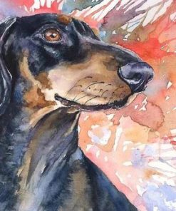Splatter Dachshund Dog Paint By Numbers