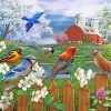 Bluebirds and Cardinals Spring Paint By Numbers