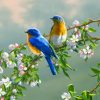 Spring Bluebirds Painting Kit Paint By Numbers