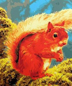Squirrel Animals Paint By Numbers