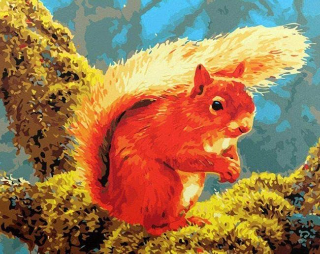 Squirrel Animals Paint By Numbers