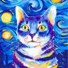 Starry Night Feline Paint By Numbers