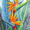 Strelitzia Flower Paint By Numbers