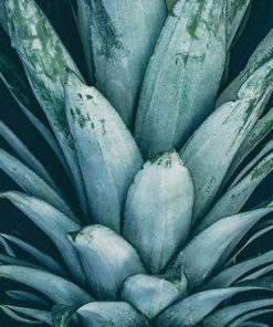 Pineapple Crown Flower Beauty Paint By Numbers