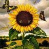 Sunflower and Butterfly Masterpiece Paint By Numbers