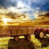 Farm Sunrise Painting Kit Paint By Numbers