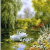 Swans and Waterfowl Paint By Numbers