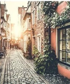 Historic Rome Cityscape Paint By Numbers