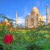 Taj Mahal Scenic View Paint By Numbers