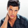 Taylor Lautner Twilight Saga Paint By Numbers