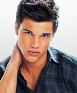 Taylor Lautner Twilight Saga Paint By Numbers
