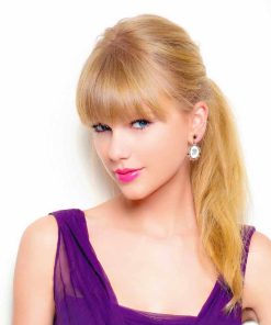 Taylor Swift Celebrity Paint By Numbers