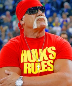 Terry Eugene Bollea Wrestling Legend Paint By Numbers