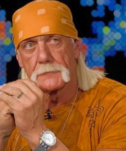 Terry Bollea Wrestling Legend Paint By Numbers