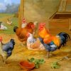 Chickens and Pigeons Farmyard Paint By Numbers