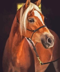 Haflinger Brown Horse Paint By Numbers