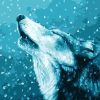 Blue Winter Wolf Paint By Numbers