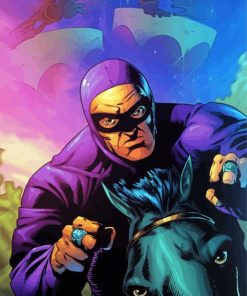 Phantom Superhero Adventure Paint By Numbers