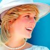 Lady Diana Tribute Paint By Numbers